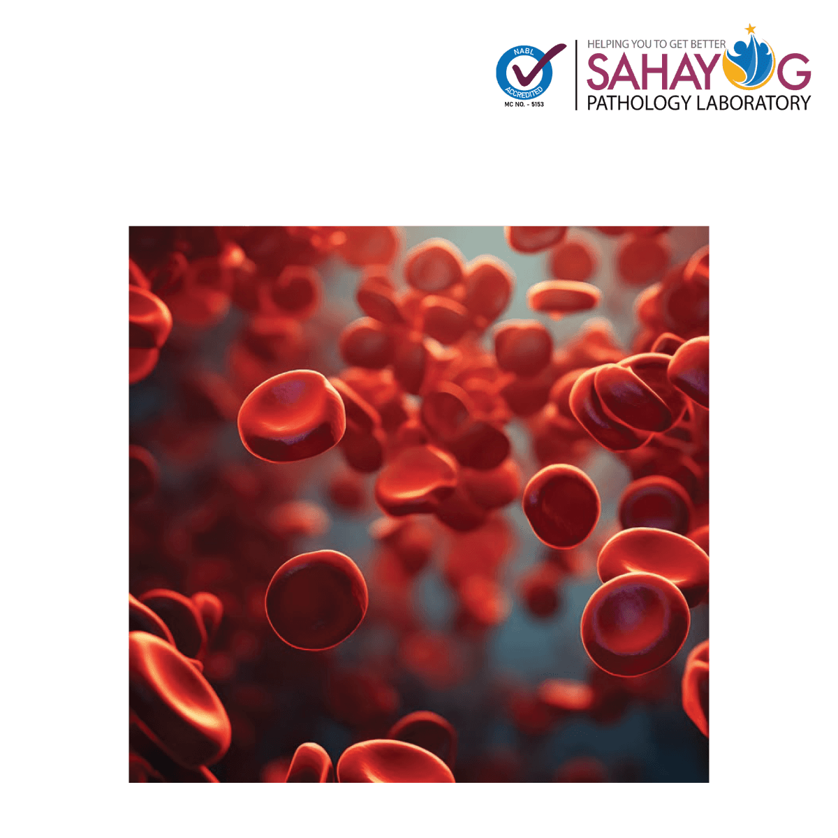 Sexually Transmited Diseases Profile