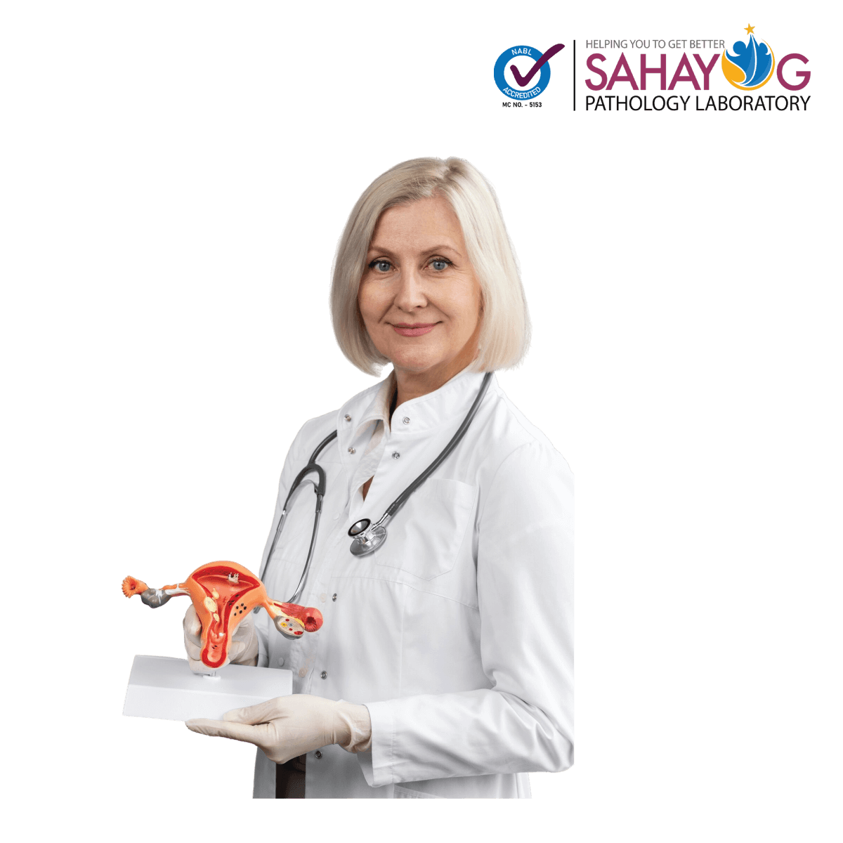 Menopause Profile 2